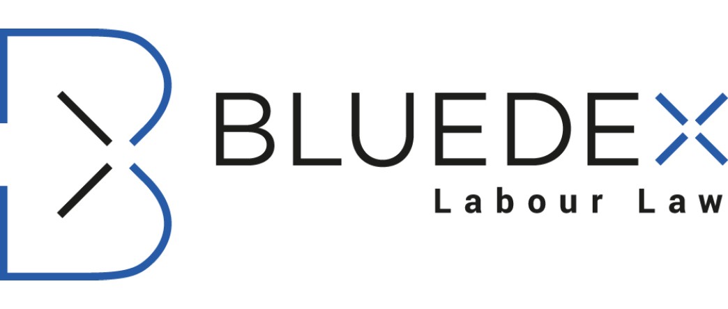 BLUEDEX PartG mbB