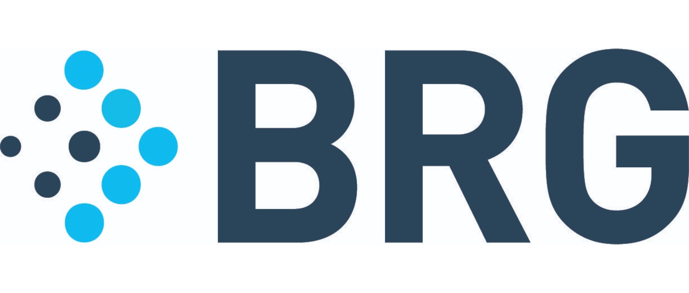 Berkeley Research Group (BRG)